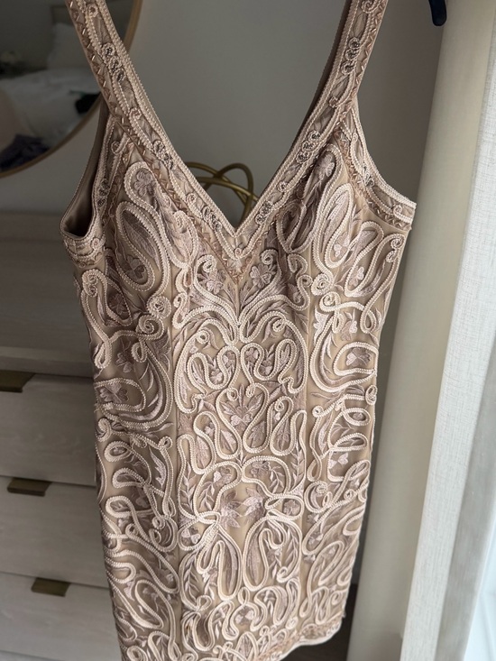 Sue Wong Dresses & Skirts - Sue Wong Blush Nude Embroidered V-Neck Cocktail Dress
